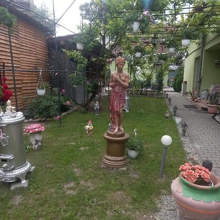Casa Elena Lägenhet Sighişoara Exteriör bild