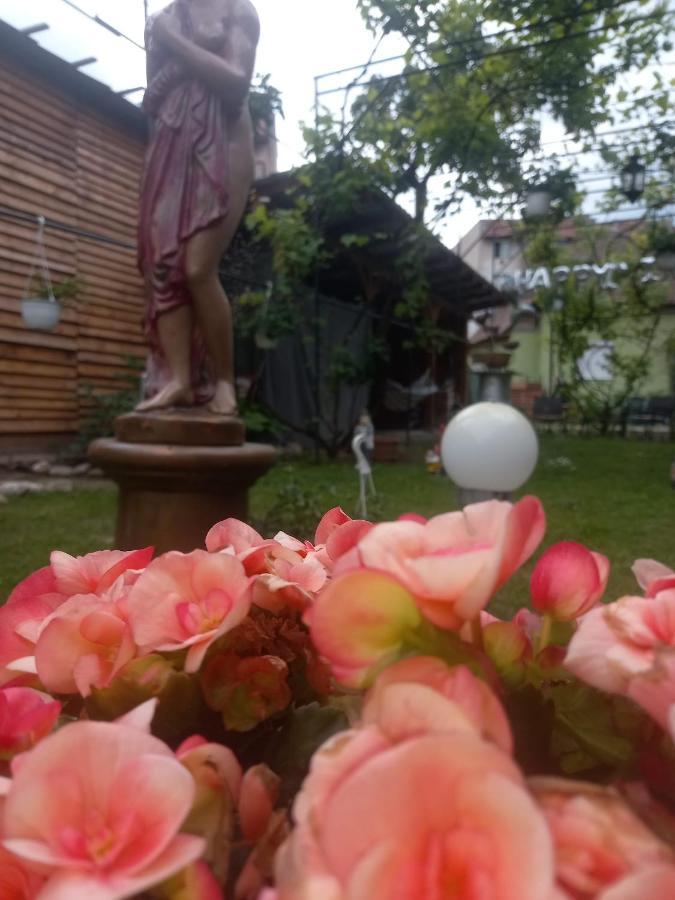 Casa Elena Lägenhet Sighişoara Exteriör bild