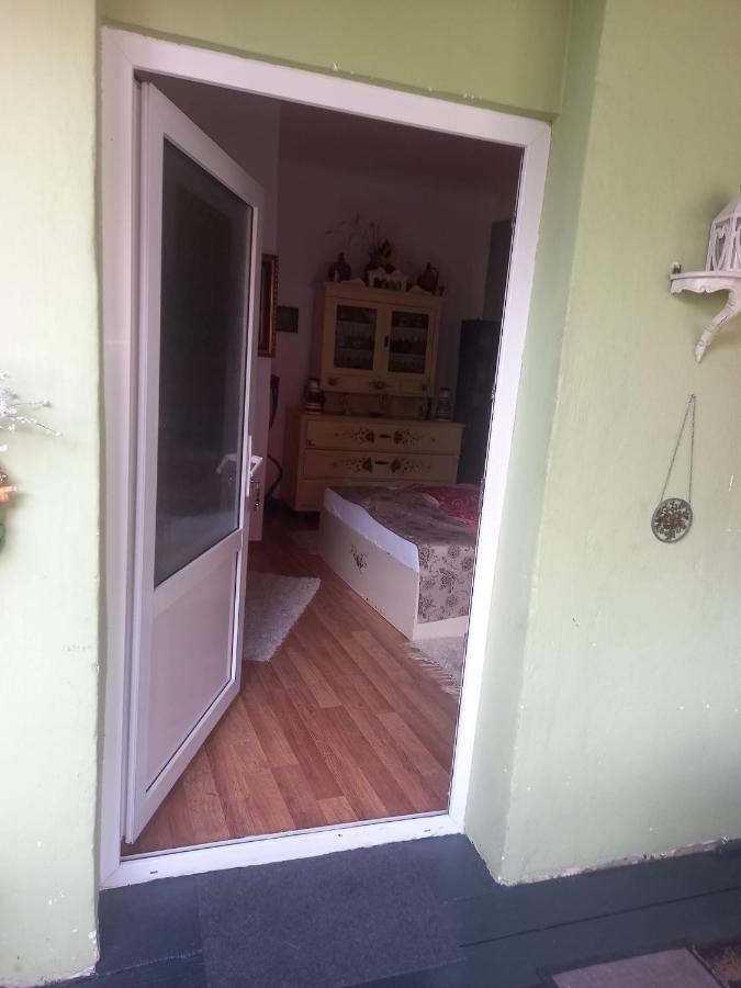 Casa Elena Lägenhet Sighişoara Exteriör bild