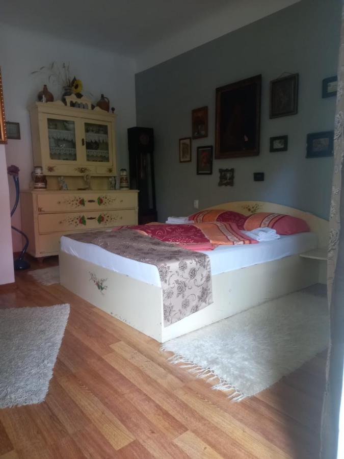 Casa Elena Lägenhet Sighişoara Exteriör bild