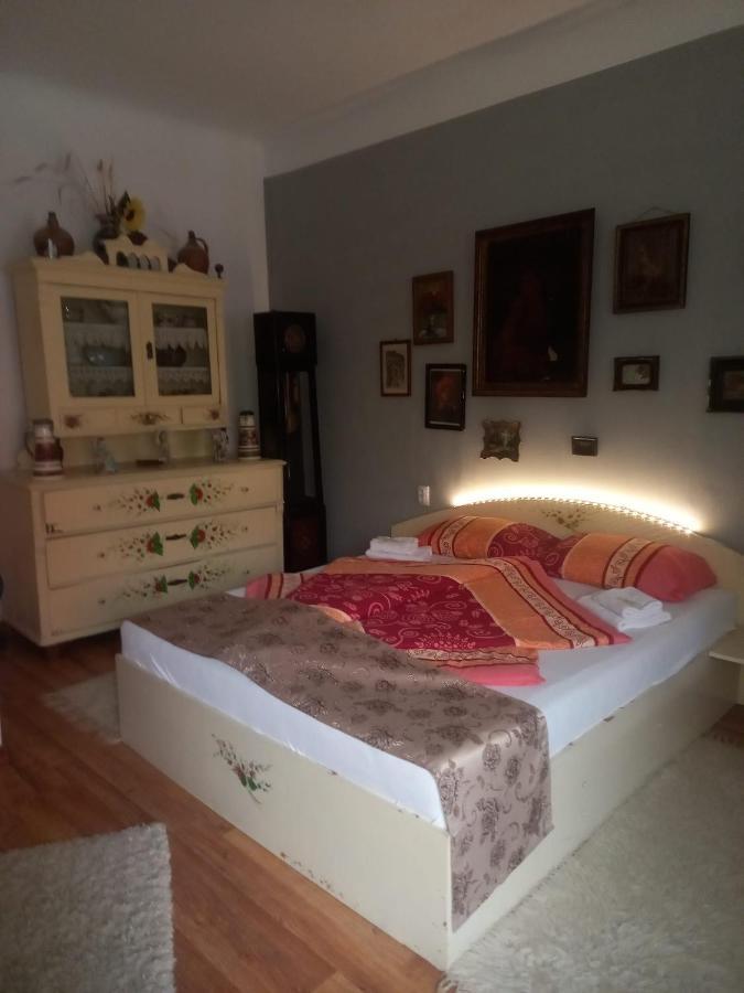 Casa Elena Lägenhet Sighişoara Exteriör bild