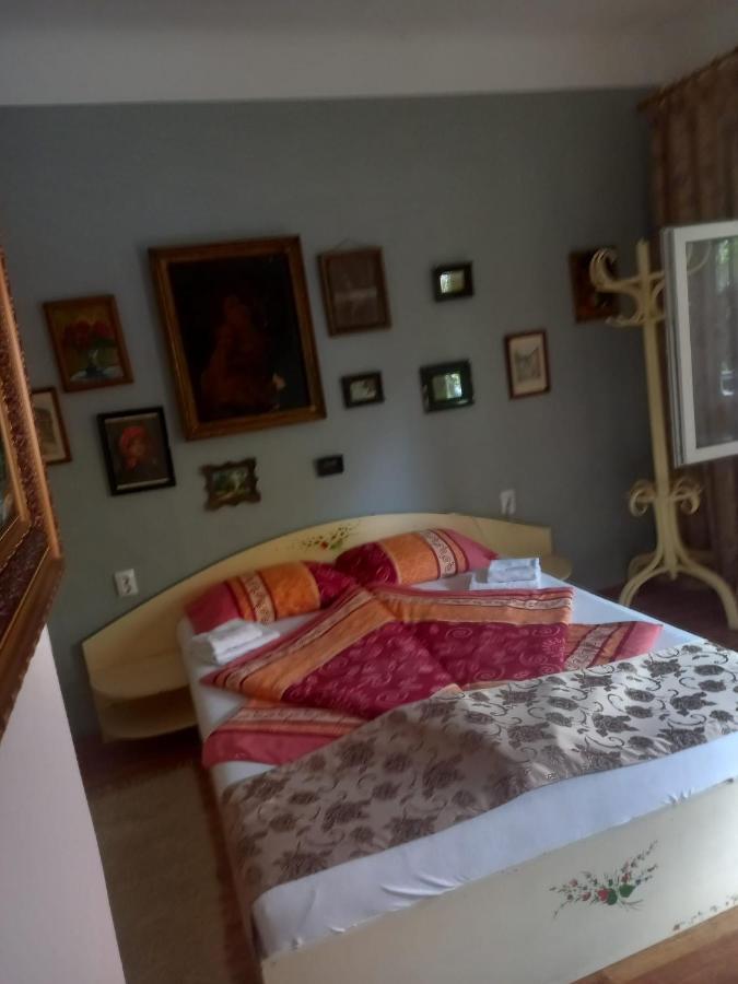 Casa Elena Lägenhet Sighişoara Exteriör bild