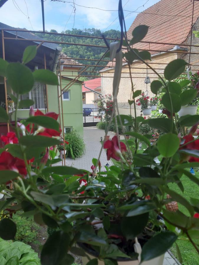 Casa Elena Lägenhet Sighişoara Exteriör bild