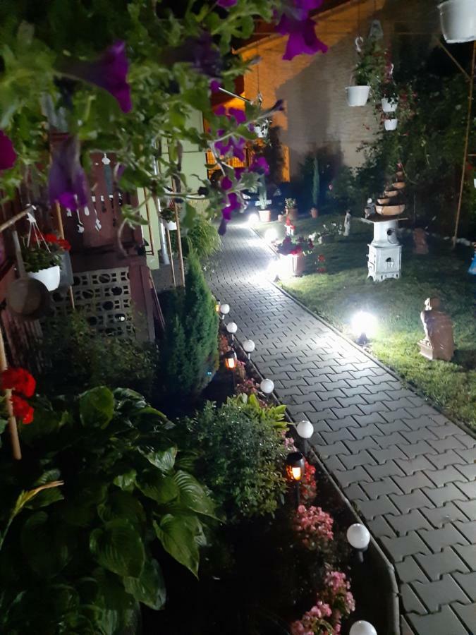 Casa Elena Lägenhet Sighişoara Exteriör bild